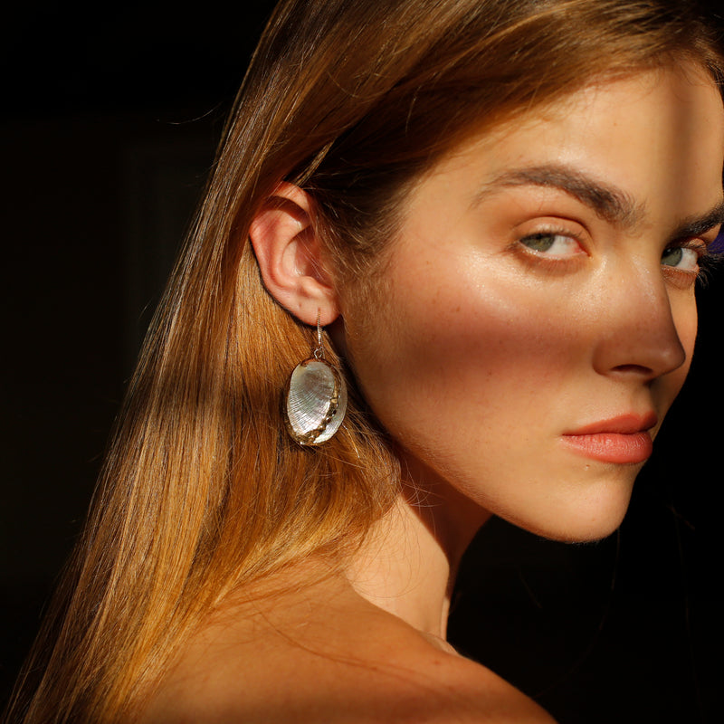 Tellin Sea Shell Earring