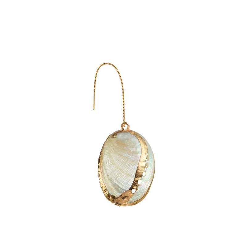 Tellin Sea Shell Earring