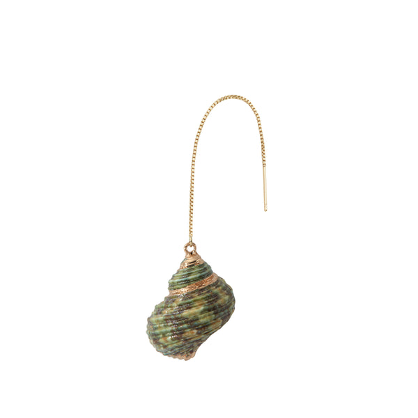 Green Spiral Sea Shell Earring