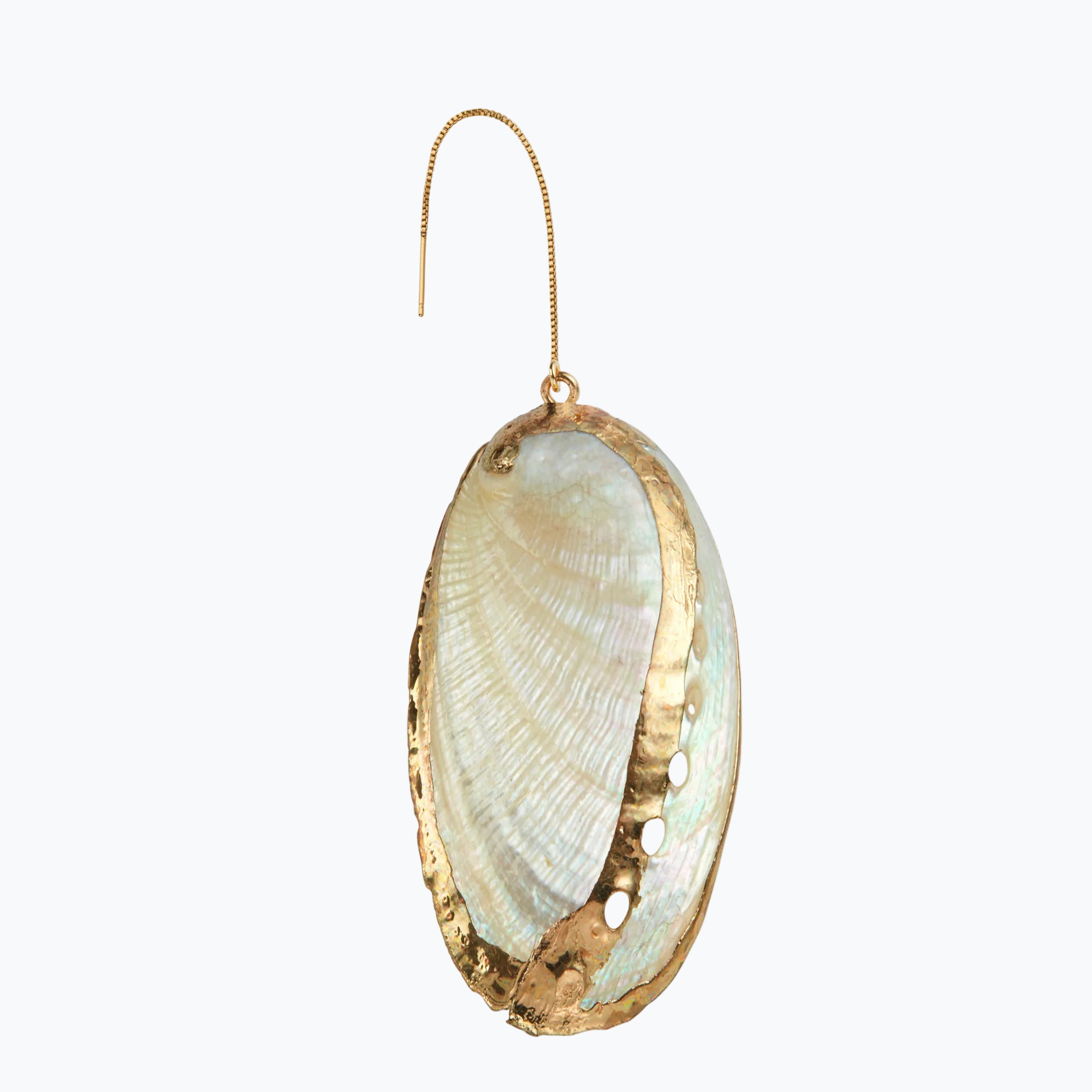 Large Tellin Sea Shell Earring – KEREN WOLF