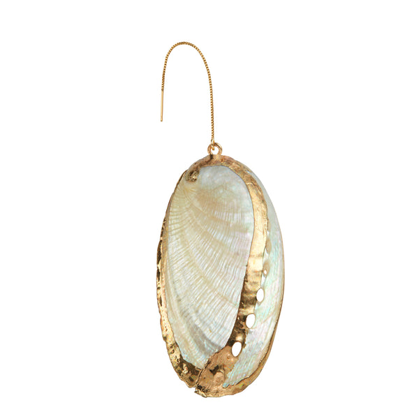 Large Tellin Sea Shell Earring