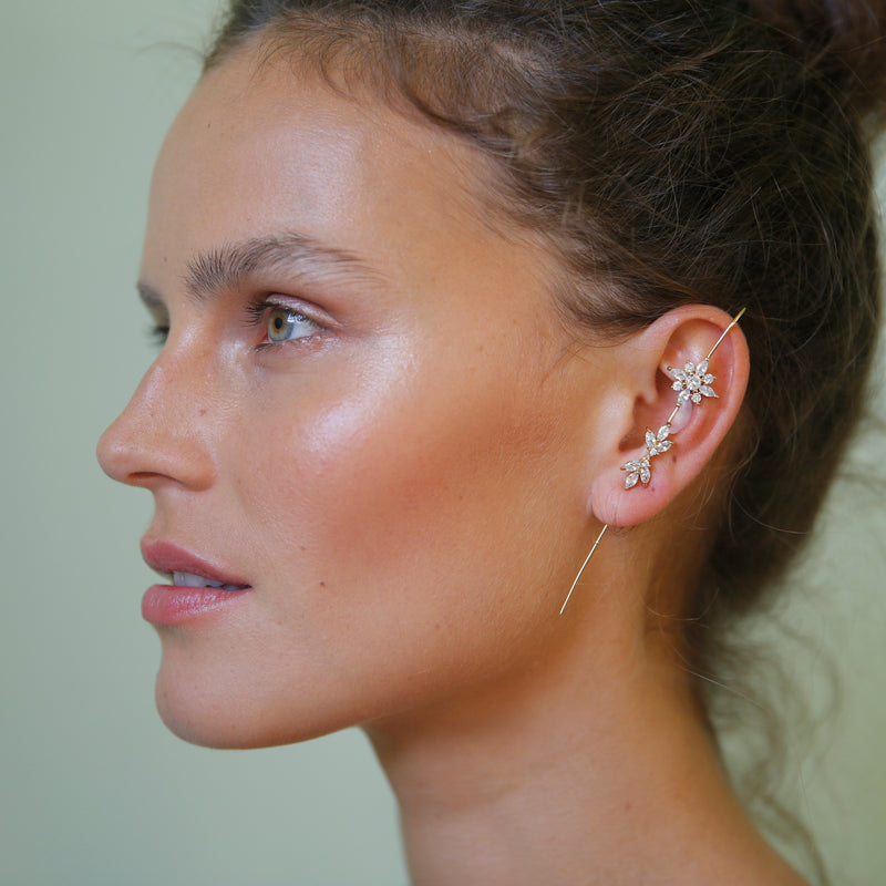 Stars Ear Hook