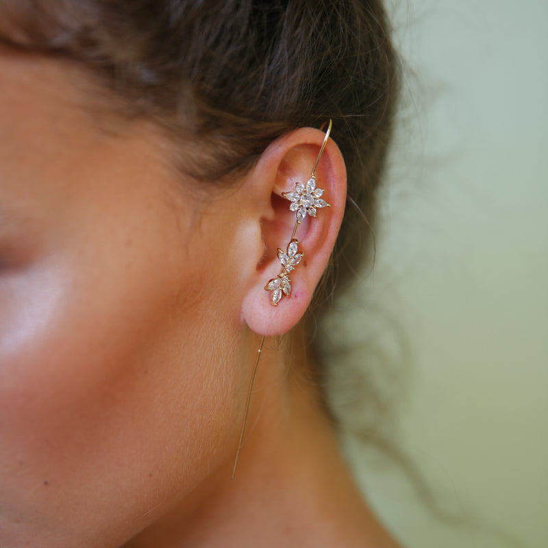 Stars Ear Hook