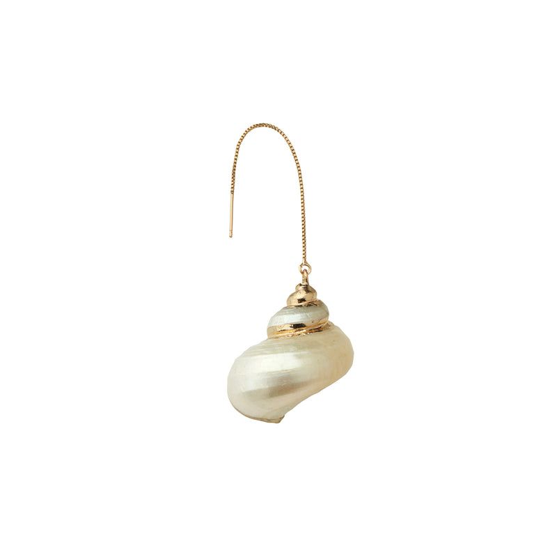 Spiral Sea Shell Earring