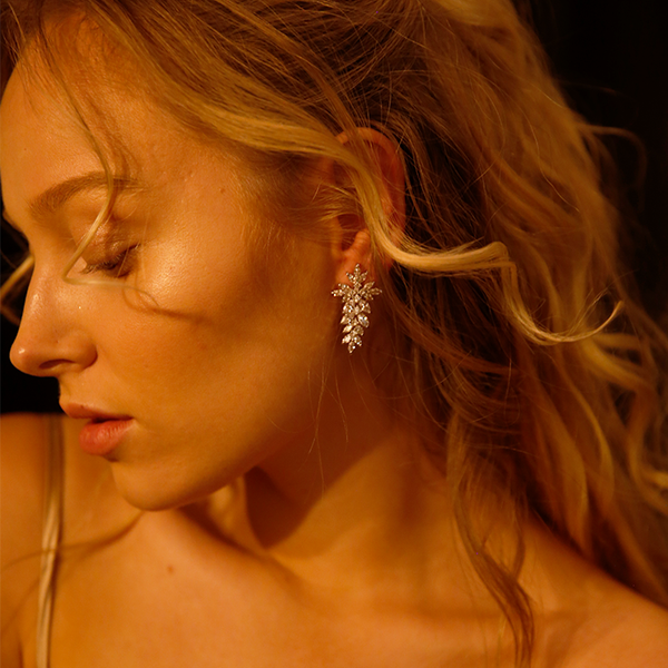 Crystal cascading Earrings | M